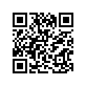 12111-20E60-0F0 