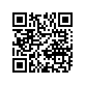 12111-28H00-0F0 PISTON