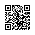 12111-31306-100 Piston (os:1.0)