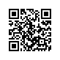 12111-33202-050 Piston (os:0.5)
