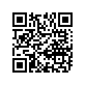 12111-33E02-0F0 Piston