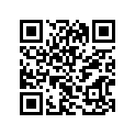 12111-34203-050 Piston (os:0.5)
