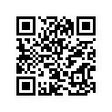 12111-38211-050 Piston (os:0.5)
