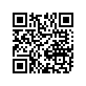12111-40H00-0F0 PISTON