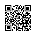 12111-45401-050 Piston (os:0.5)