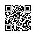 12111-45402-050 Piston (os:0.5)