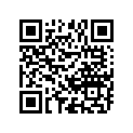 12111-45402-100 Piston (os:1.0)