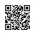 12111-47001-050 Piston (os:0.5)