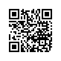 12111-47H00-0F0 PISTON