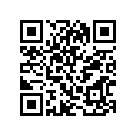 12111-49001-050 Piston (os:0.5)