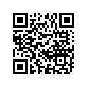 12111-49203-050 Piston (os:0.5)