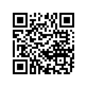 12111-49203-100 Piston (os:1.0)