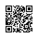 12111-49221-050 Piston (os:0.5)