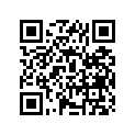 12111-49403-100 Piston (os:1.0)