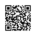 12120-92E20 12120-92E21-PISTON,PORT