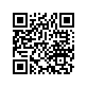 12133-887-306 GUIDE,VALVE(OS)