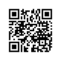 12140-95211 12140-95212-RINGSETPISTON