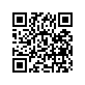 12161-40300 .rod, Connecting