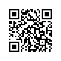 12161-41B00 .rod, Connecting