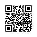 12161-45101 .rod, Connecting