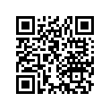 12195-166-000 Rubber C, Insert