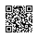 12204-881-305 GUIDE,VALVE(OS)