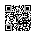 12211-16701-0A0 Палец шатунный