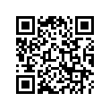 12295-VM0-000 Rubber, Insert  (not Available)
