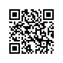 12300006 WASHER,WAVE