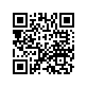 12313-MZ5-700 Rubber b