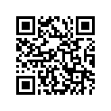 12771-13E00 GUIDE,CAM CHAIN NO.1