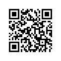 12771-20E00-000 GUIDE,CAM CHAIN