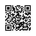 12771-21H01 GUIDE,CAM CHAIN