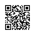 12771-33E00 GUIDE,CAM CHAIN NO.1