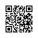 12840-11401 ARM