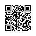 12892-05C00-198 Shim, Tappet     (                    )