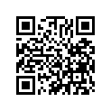 12902-028-010 Gasket b