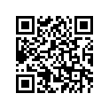 12E-11101-00-00 