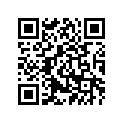 12R-16300-00-00 