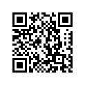 130-22110-00-00 124221100281