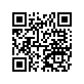 13002-Y002 PIN-PISTON