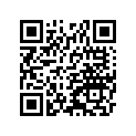 130020715 PIN-PISTON