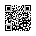 130020717 PIN-PISTON