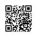 13008-0031 RING-SET-PISTON