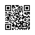 130080016 Ring-set-piston