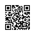 130080022 Ring-set-piston
