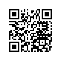 130080028 Ring-set-piston