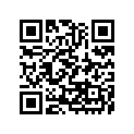130080047 Ring-set-piston