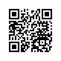 130081011 