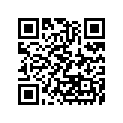 130081093 Ring-set-piston